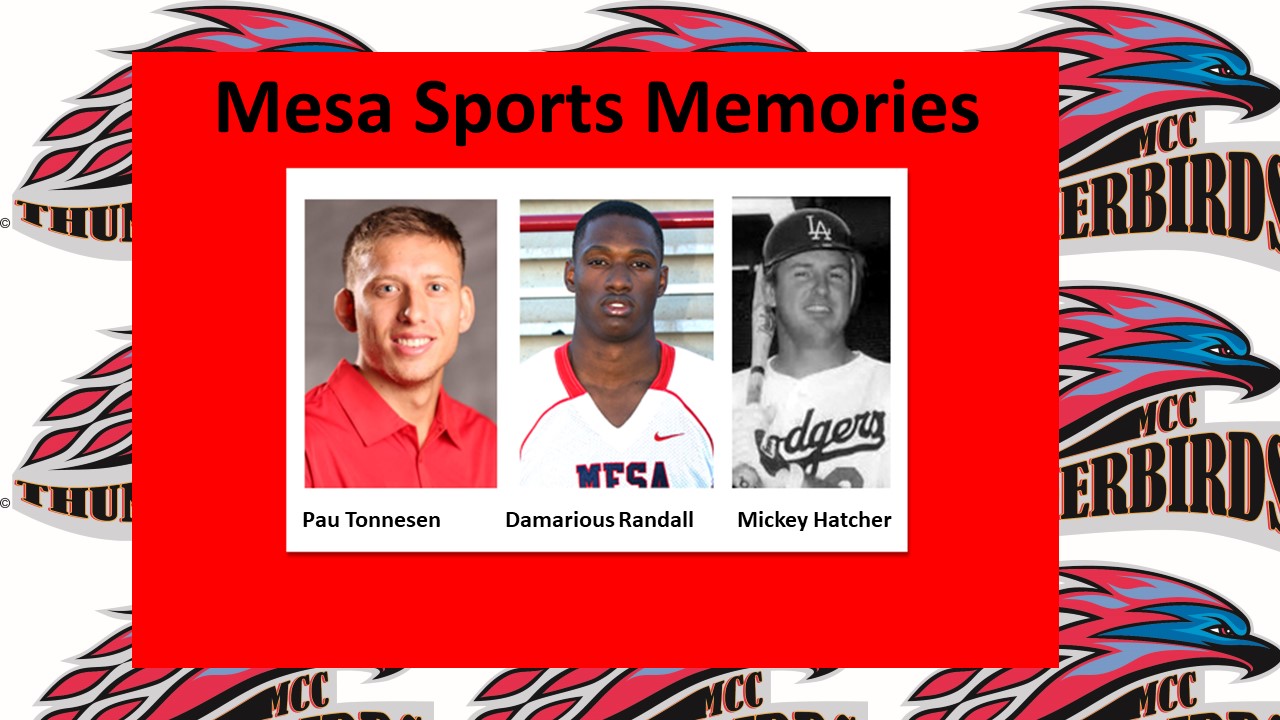 Mesa Sports Memories: Thunderbirds flying high in the Pros