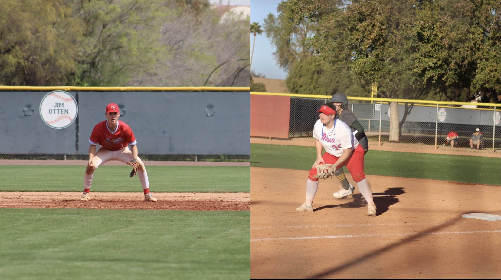 Baseball and softball swept in their doubleheaders on Saturday.