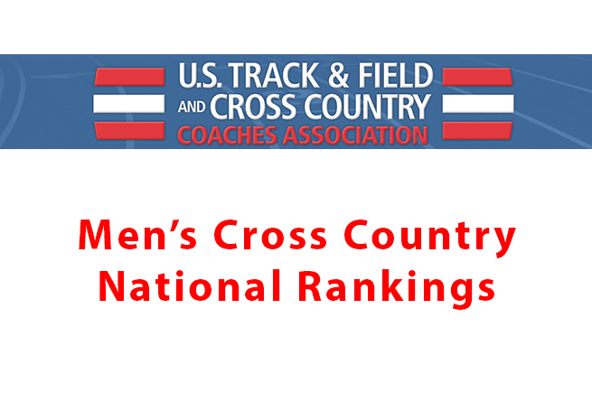 Men's cross country rises to No. 13 in national rankings