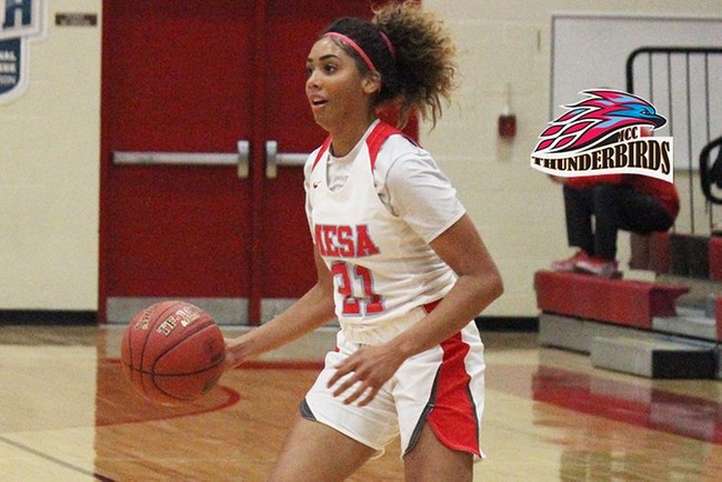 Lady T-Birds Secure #2 Seed for ACCAC DII Playoffs with Wild Victory Over South Mountain, 76-70