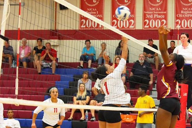 #14 Matadors Too Much for #17 Mesa in 3-0 Sweep