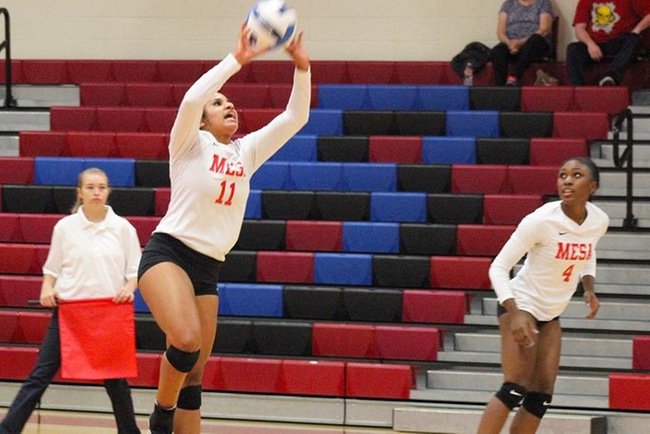 Down Two Sets, #10 Mesa Rallies to Win in Five Sets vs Chandler-Gilbert