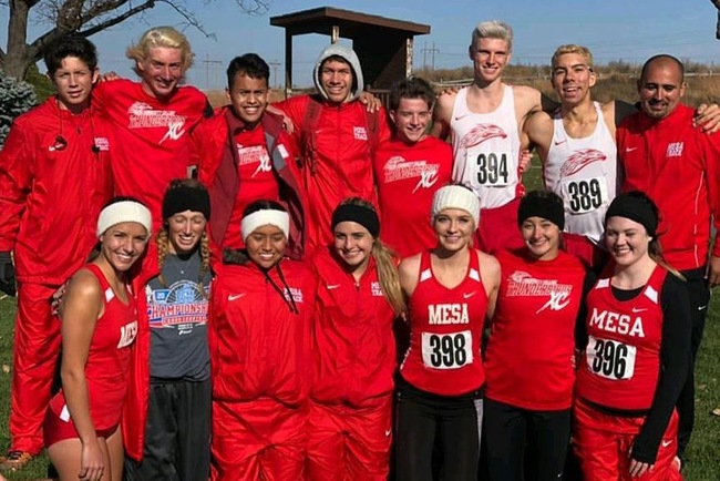 Mesa Women's Cross Country Finishes 9th at Nationals, Men Finish 14th Place