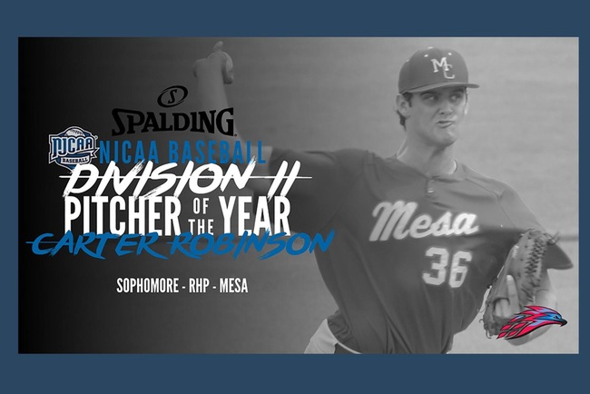 Carter Robinson Brings Home More Post-Season Hardware, Earns NJCAA Spalding DII and ABCA/Rawlings DII Pitcher of the Year