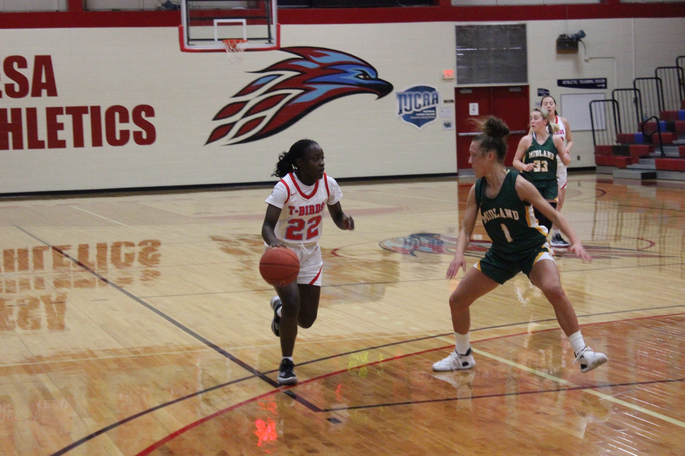 Jayla Johnson Earns Her Second ACCAC DII Women’s Basketball Player of the Week Honors