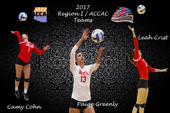 Leah Crist, Camy Cohn and Paige Greenly Earn ACCAC, Region I Conference Honors