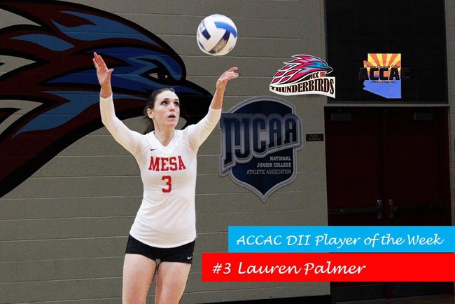Lauren Palmer Earns ACCAC DII Player of the Week Honors