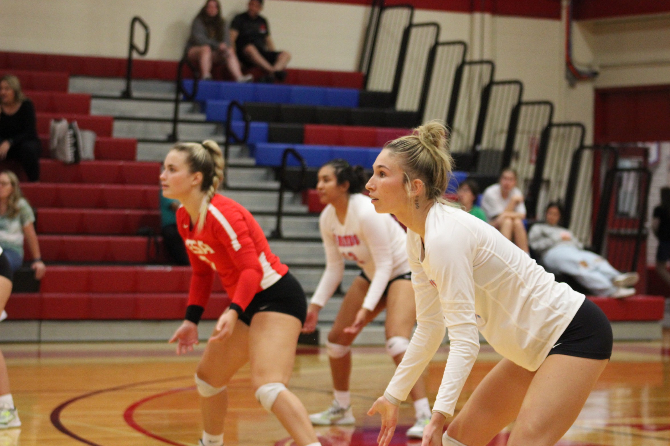 Mesa Volleyball Cruises by Phoenix College, 3-0