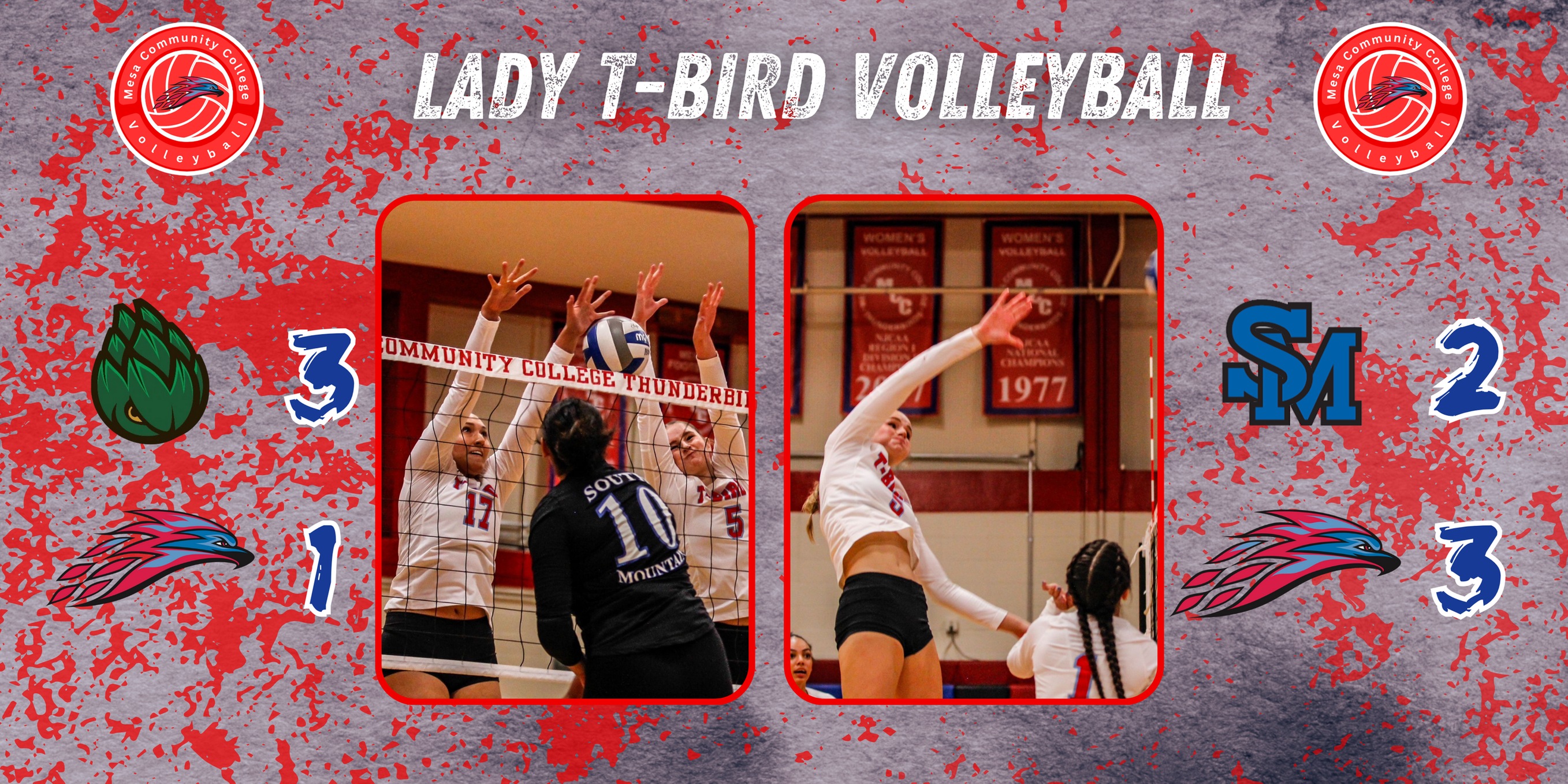 T-Bird Volleyball splits conference matches last week; look to gain momentum this week