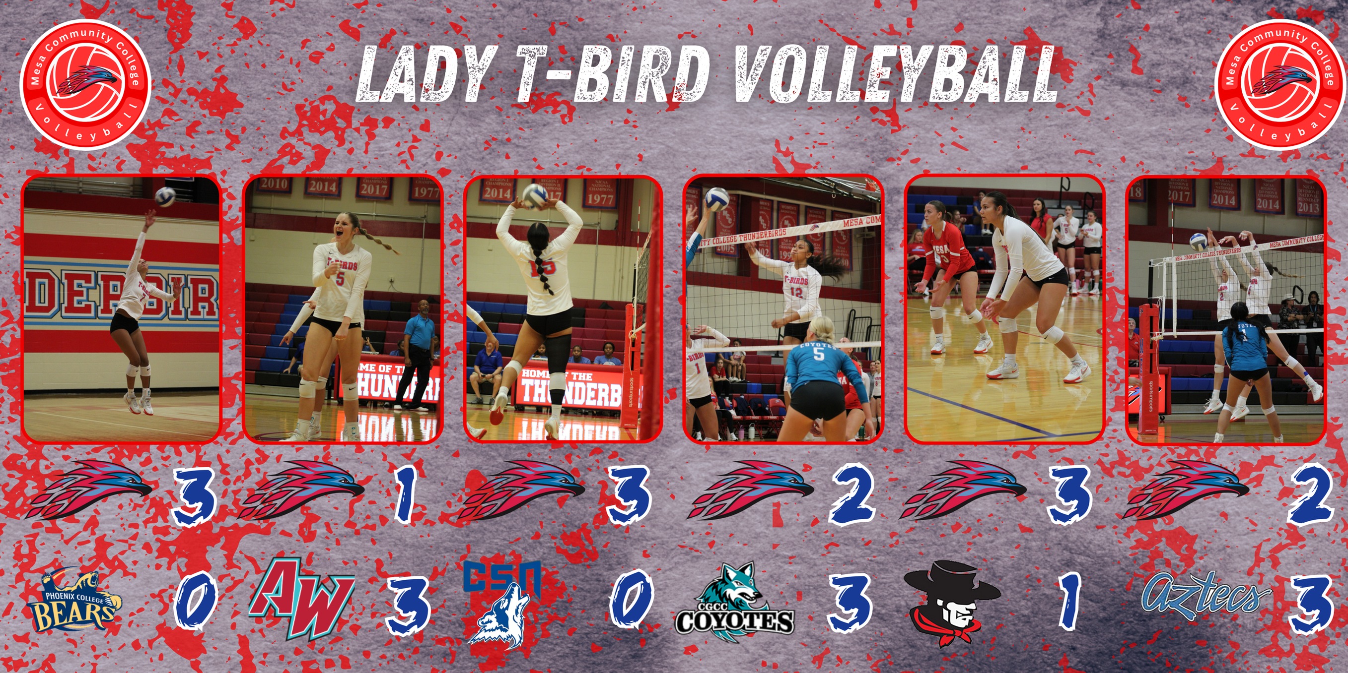 T-Bird Volleyball finishes gauntlet of games with loss to Pima on Wednesday night