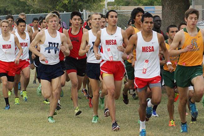 Men's cross country places fourth, women fifth, at Embry Riddle Invitational