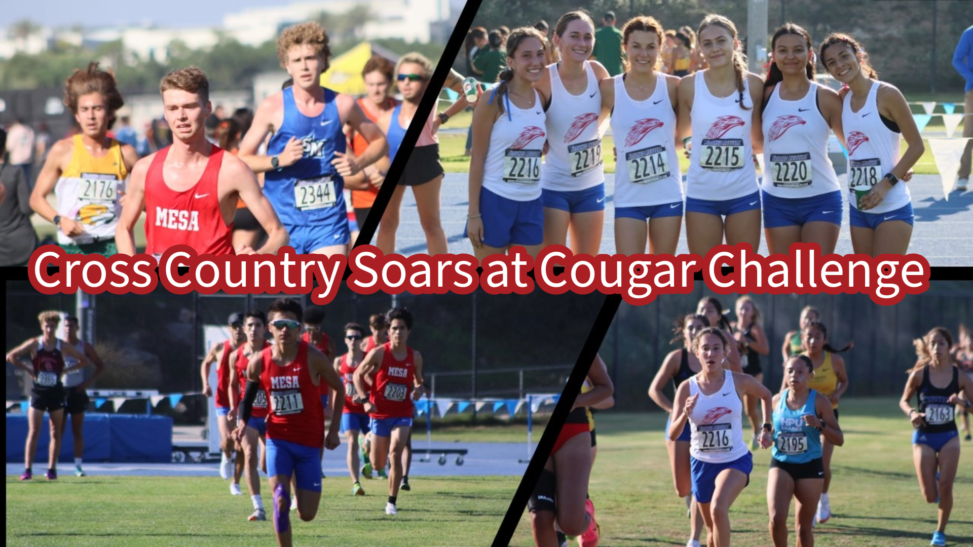 MCC Cross Country competed at Cougar Challenge on Saturday