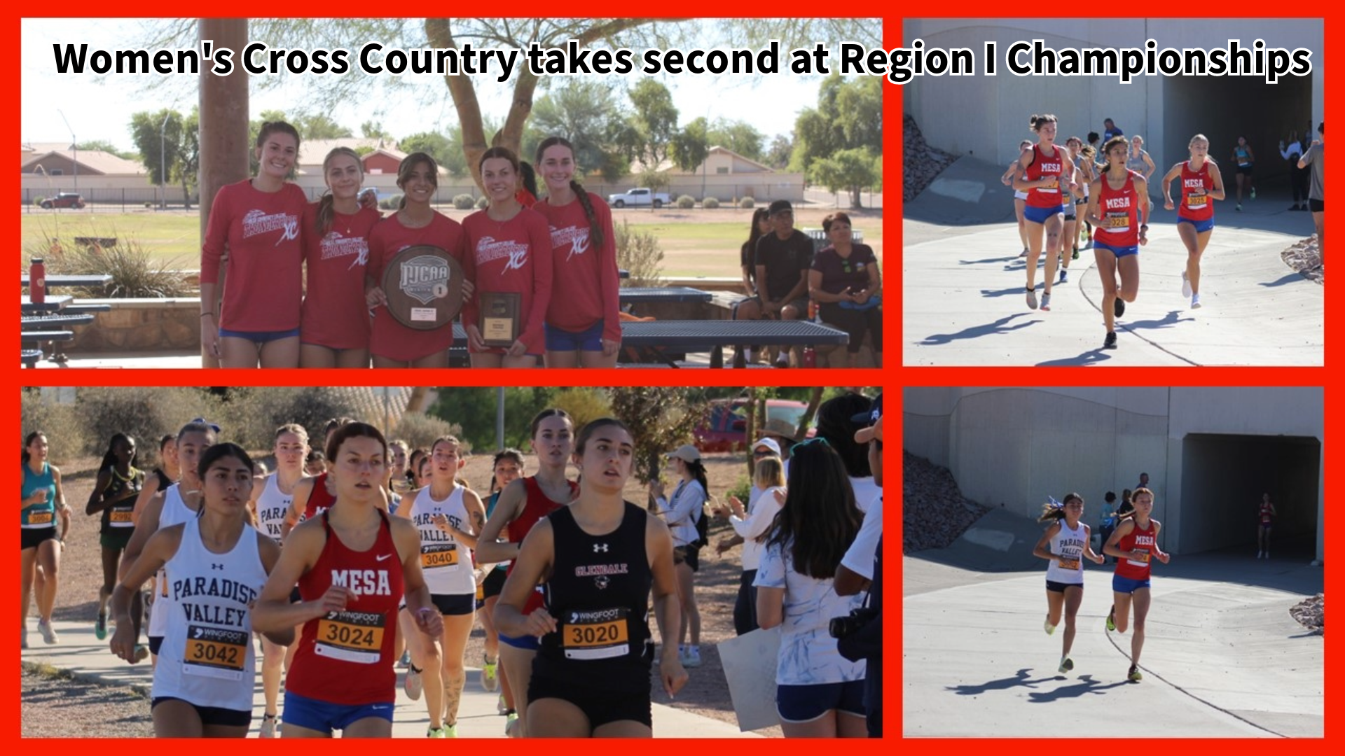 Women's Cross Country takes second at Region I Championships